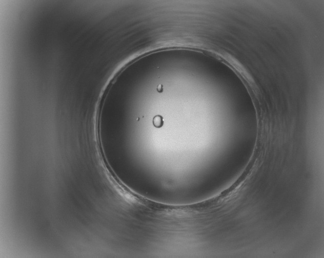 X0000073411246200608040950