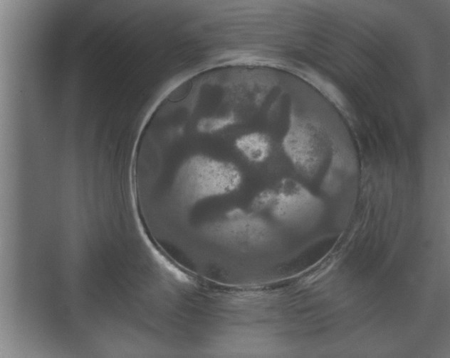 X0000073411247200608040950