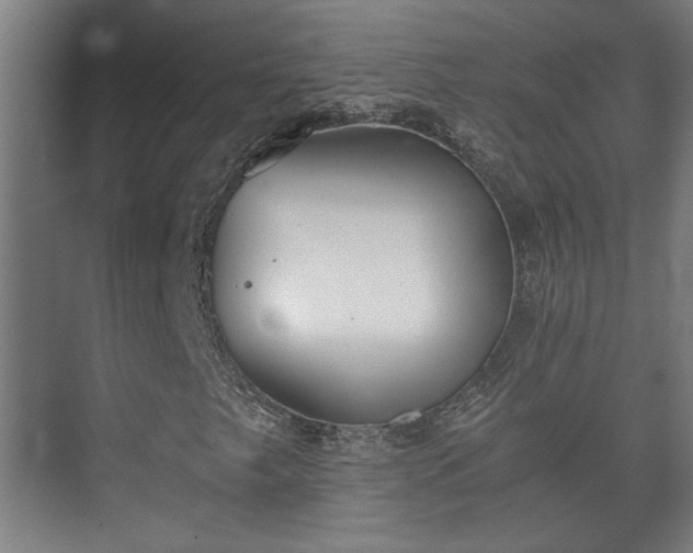 X0000073411249200608040949