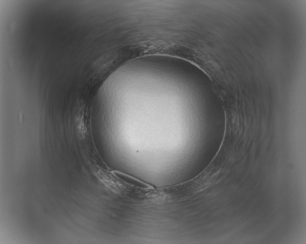 X0000073411250200608040949