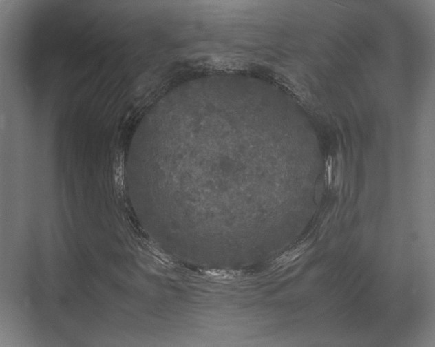 X0000073411251200608040949