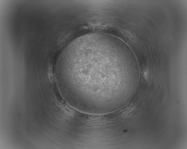 X0000073411252200608040949