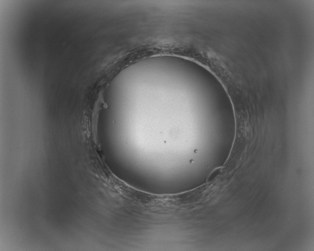 X0000073411253200608040949