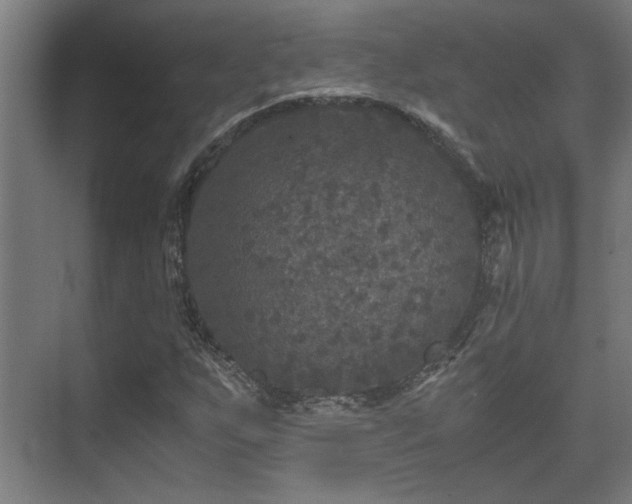 X0000073411255200608040949