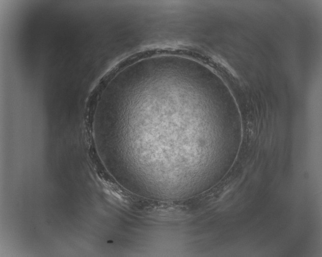 X0000073411256200608040949