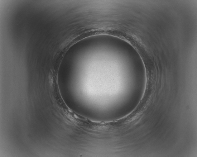 X0000073411257200608040949