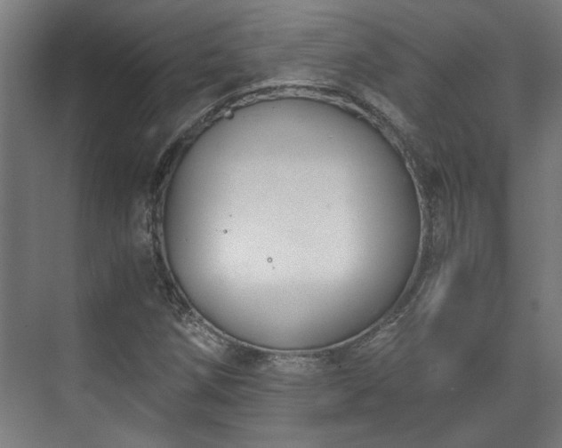 X0000073411258200608040949