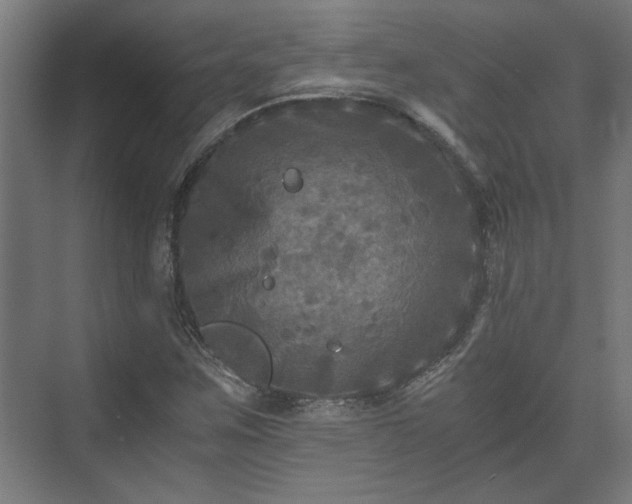 X0000073411259200608040949