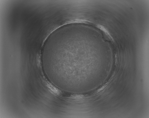 X0000073411260200608040949