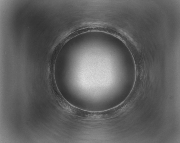 X0000073411261200608040949