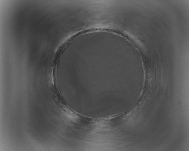 X0000073411262200608040949