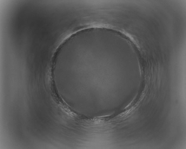 X0000073411263200608040949