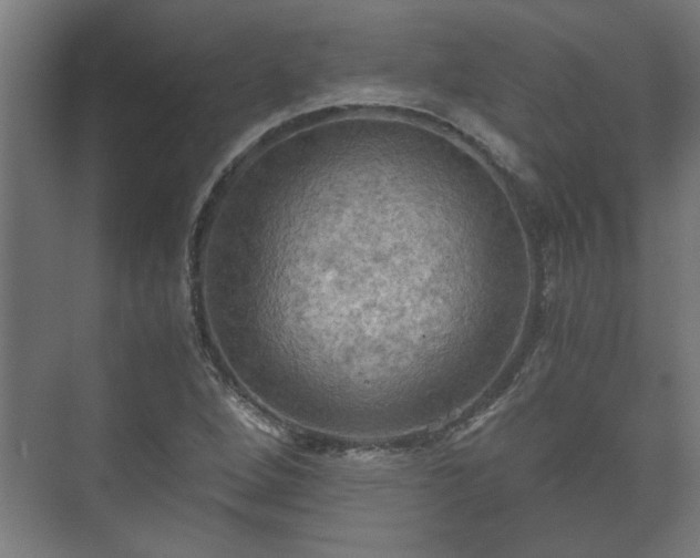 X0000073411264200608040949