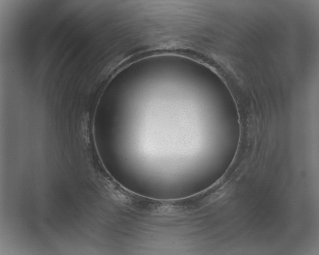 X0000073411265200608040949