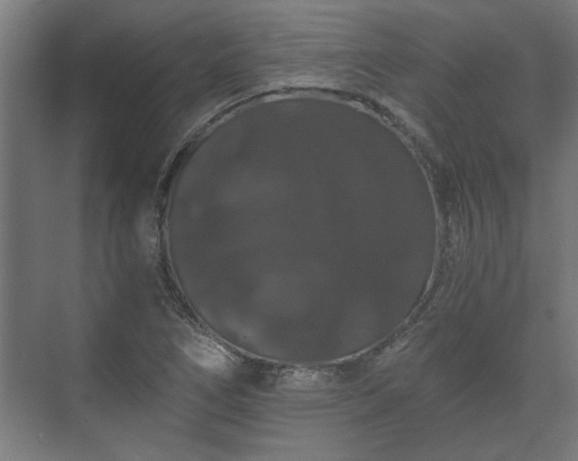 X0000073411266200608040949