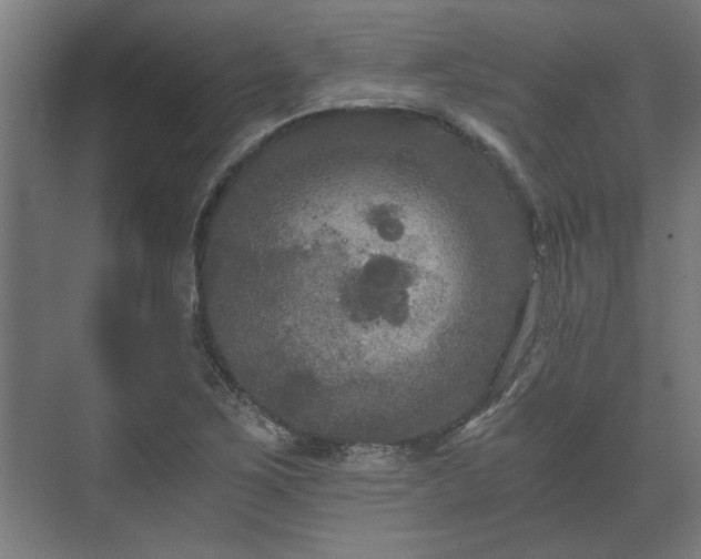 X0000073411267200608040949