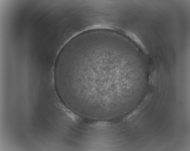 X0000073411268200608040949