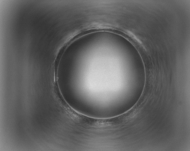 X0000073411269200608040949