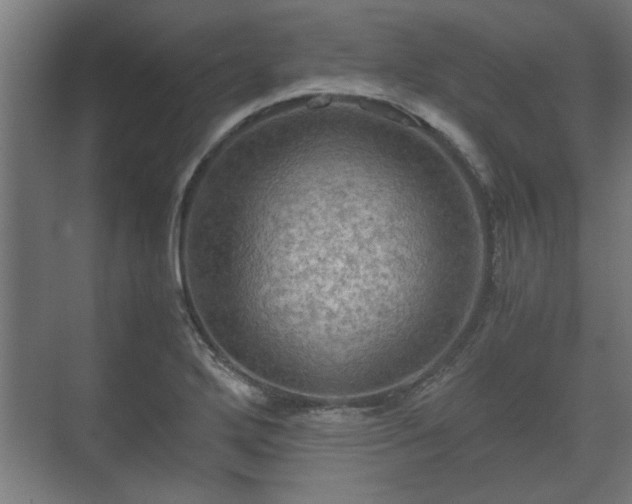 X0000073411272200608040949