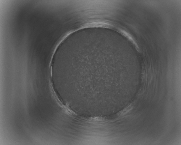 X0000073411275200608040949