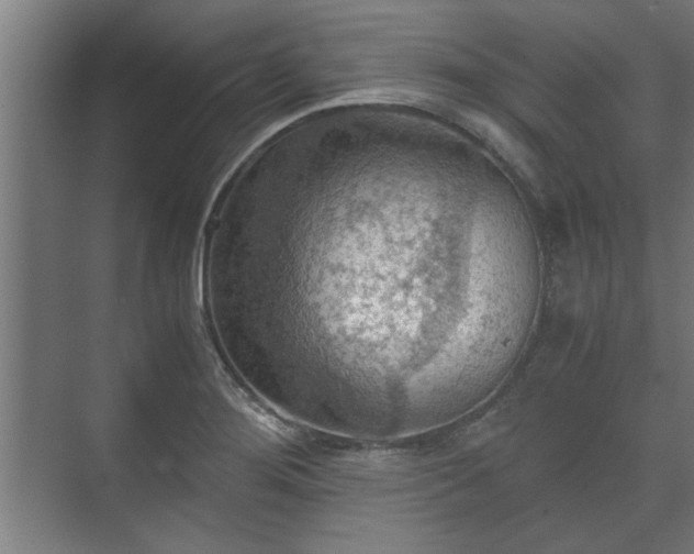 X0000073411276200608040949