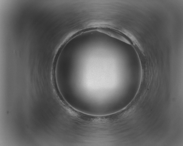 X0000073411277200608040949