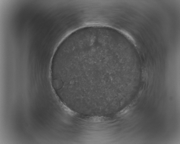 X0000073411279200608040949