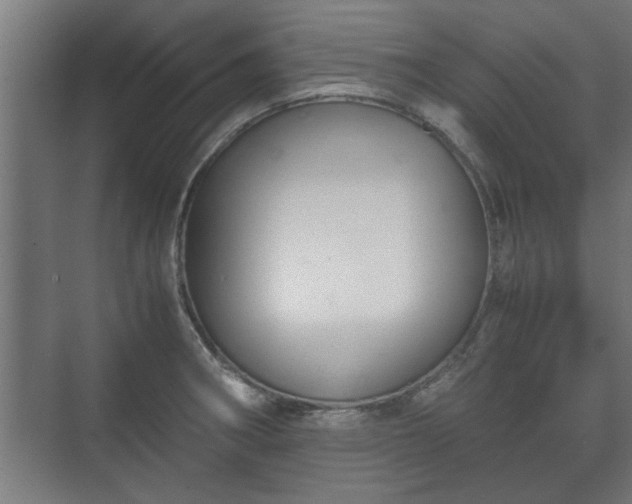 X0000073411282200608040949