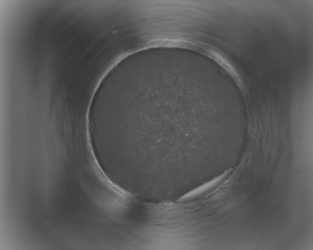 X0000073411283200608040949