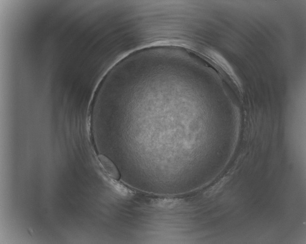 X0000073411284200608040949