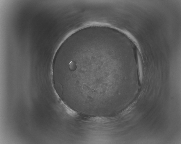 X0000073411287200608040949