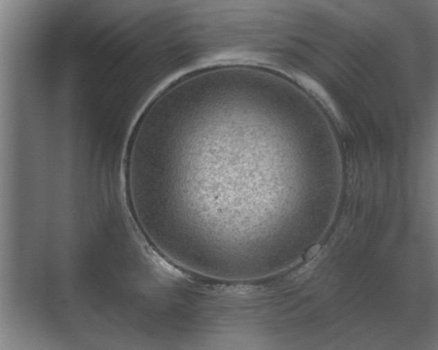 X0000073411288200608040949