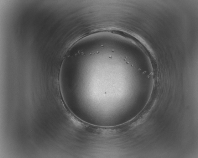 X0000073411289200608040949