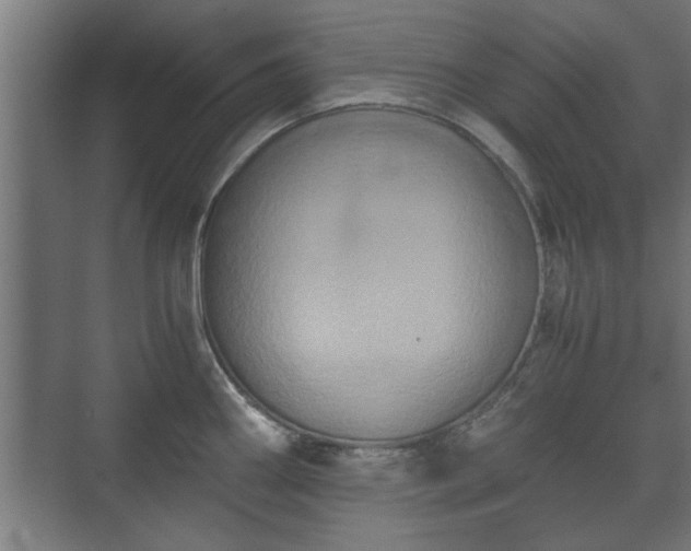 X0000073411290200608040949