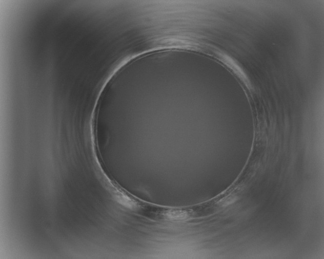 X0000073411291200608040949