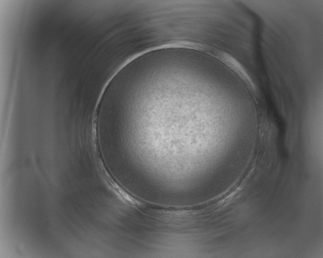 X0000073411292200608040949