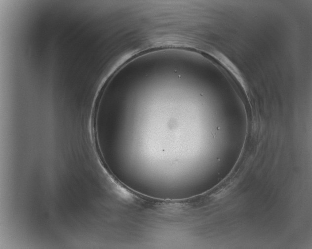 X0000073411293200608040949