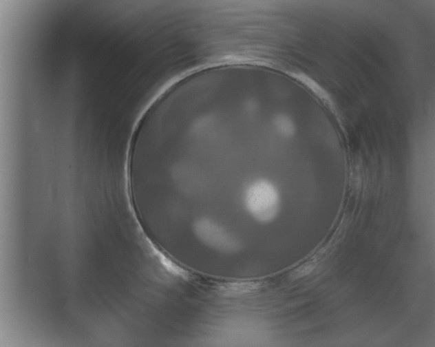 X0000073411294200608040949