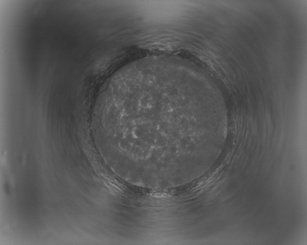 X0000073411297200608040948