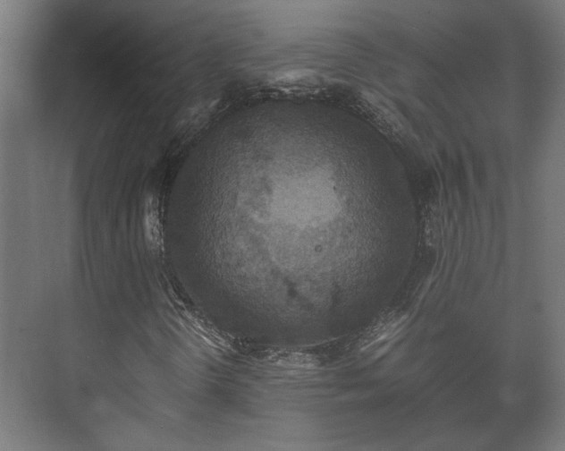 X0000073411298200608040948