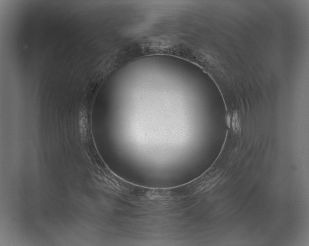 X0000073411299200608040948