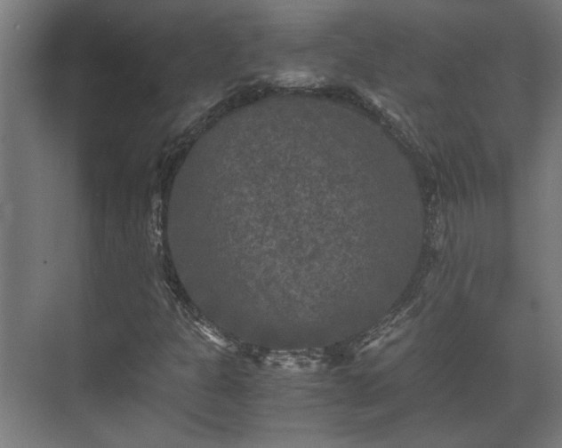 X0000073411301200608040948