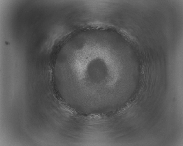 X0000073411302200608040948