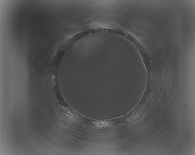 X0000073411303200608040948