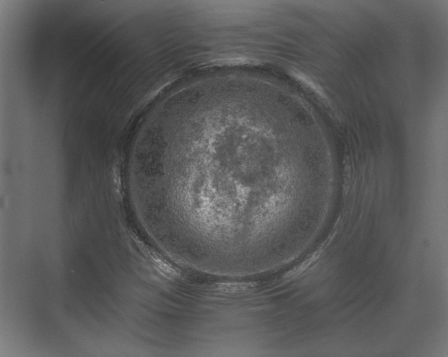 X0000073411305200608040948