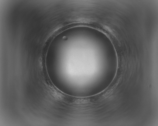 X0000073411307200608040948