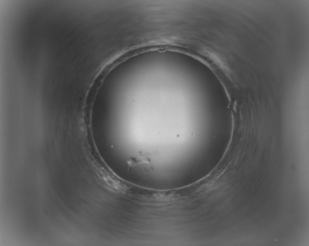 X0000073411308200608040948