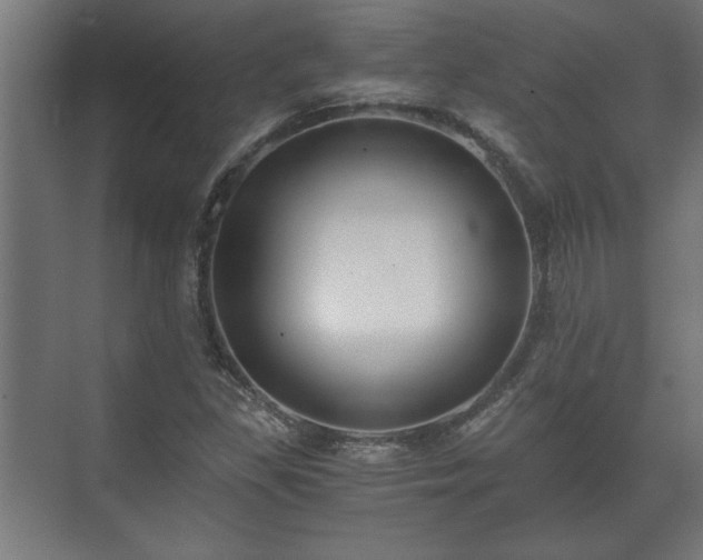 X0000073411309200608040948