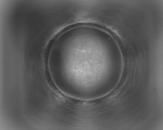 X0000073411311200608040948