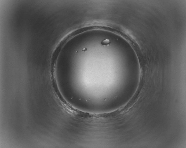 X0000073411312200608040948